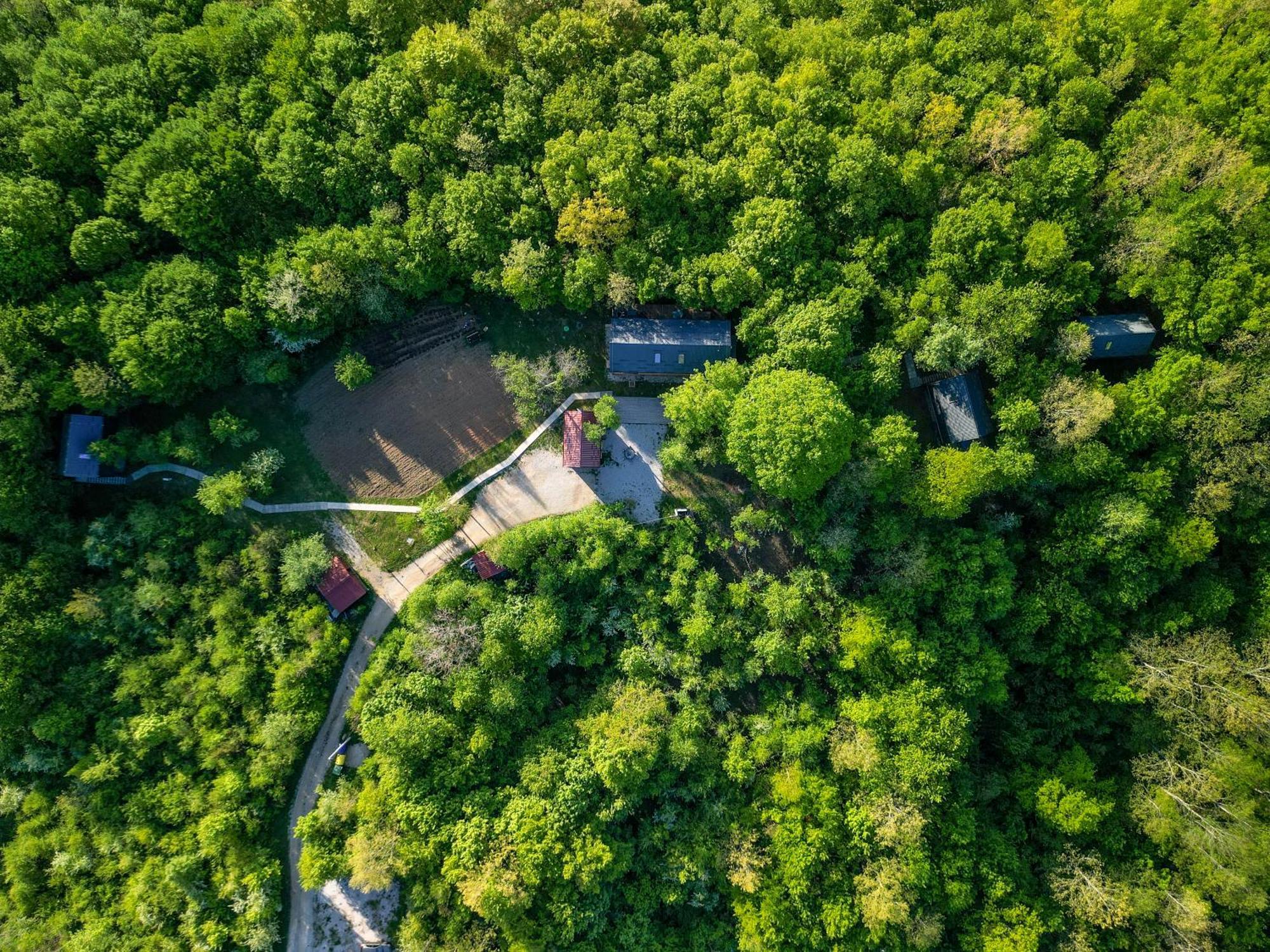 Apartamento Tree Elements Treehouse Retreat Slunj Exterior foto